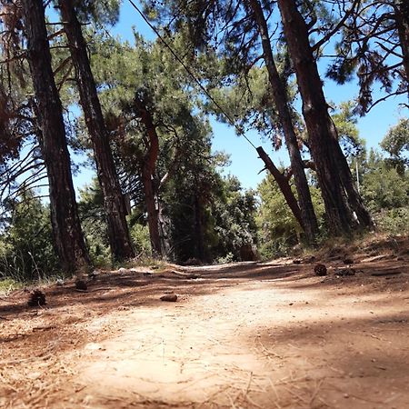 Kouros Villa! Paltsi Pilion Dış mekan fotoğraf