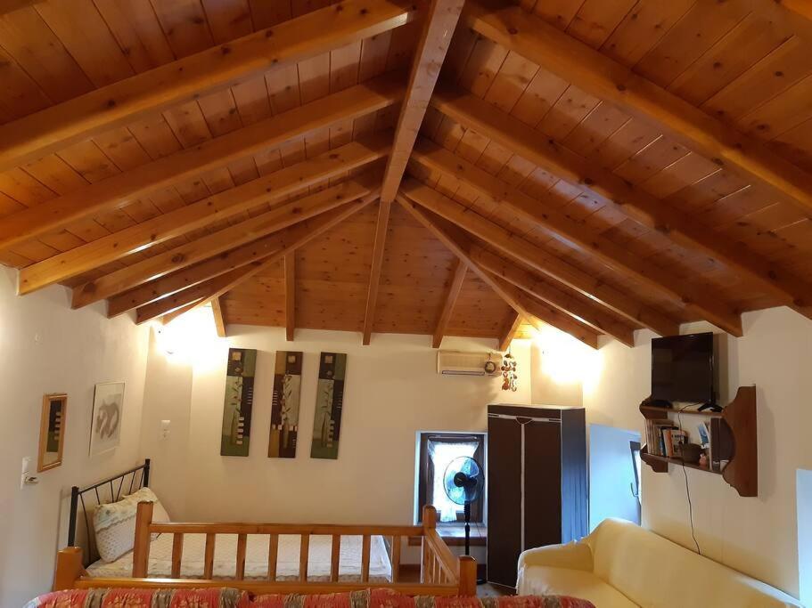 Kouros Villa! Paltsi Pilion Dış mekan fotoğraf
