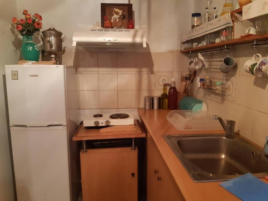 Kouros Villa! Paltsi Pilion Dış mekan fotoğraf