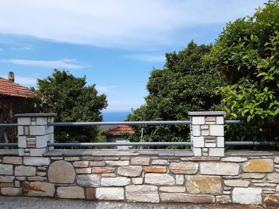 Kouros Villa! Paltsi Pilion Dış mekan fotoğraf