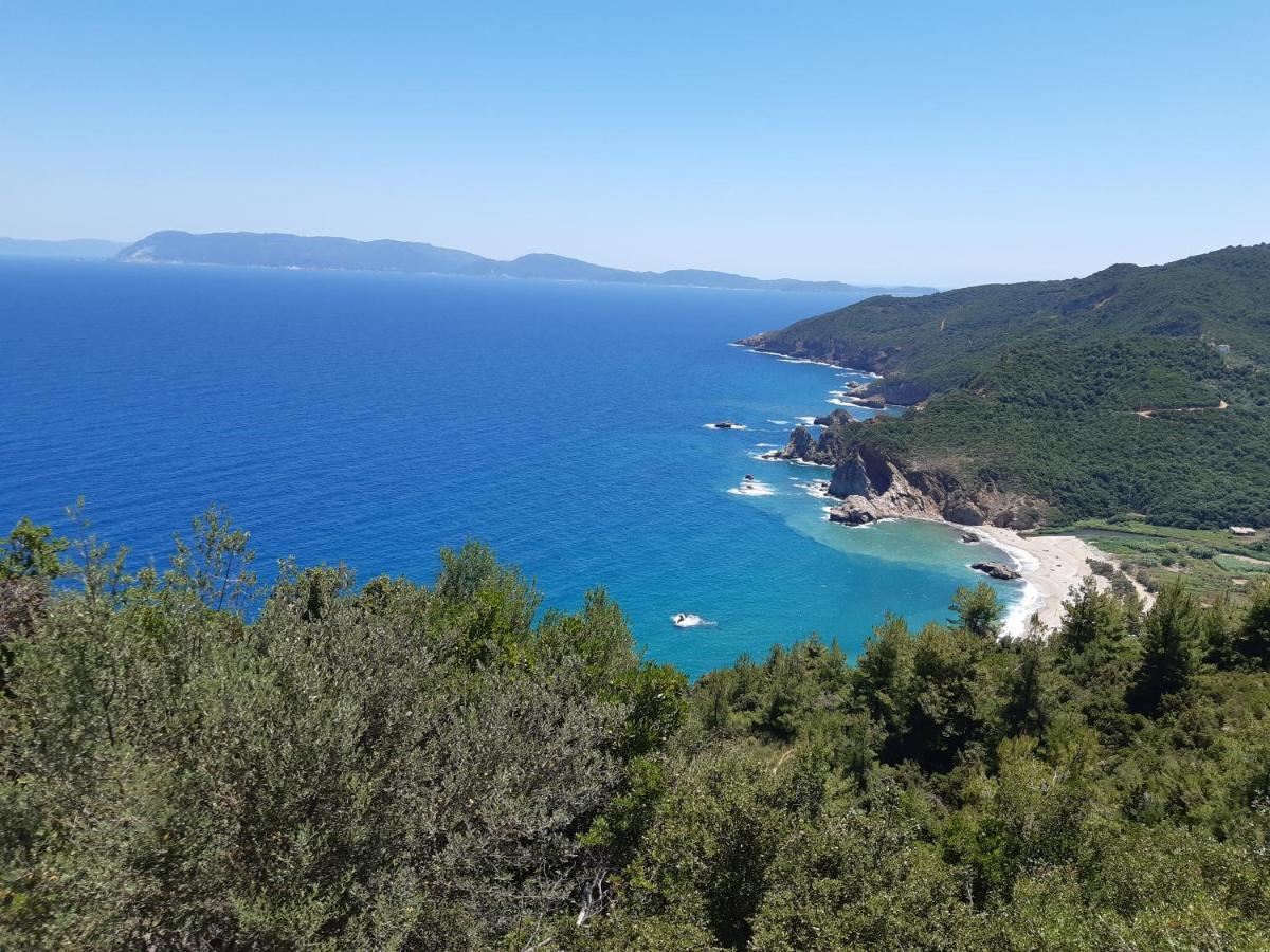 Kouros Villa! Paltsi Pilion Dış mekan fotoğraf