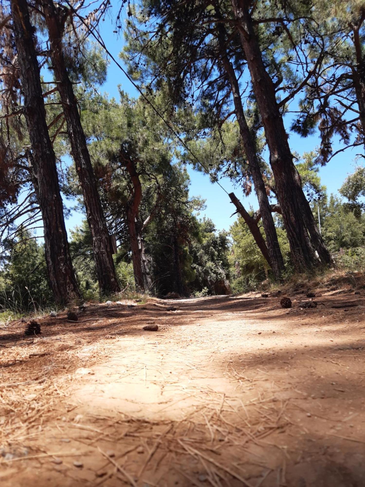 Kouros Villa! Paltsi Pilion Dış mekan fotoğraf