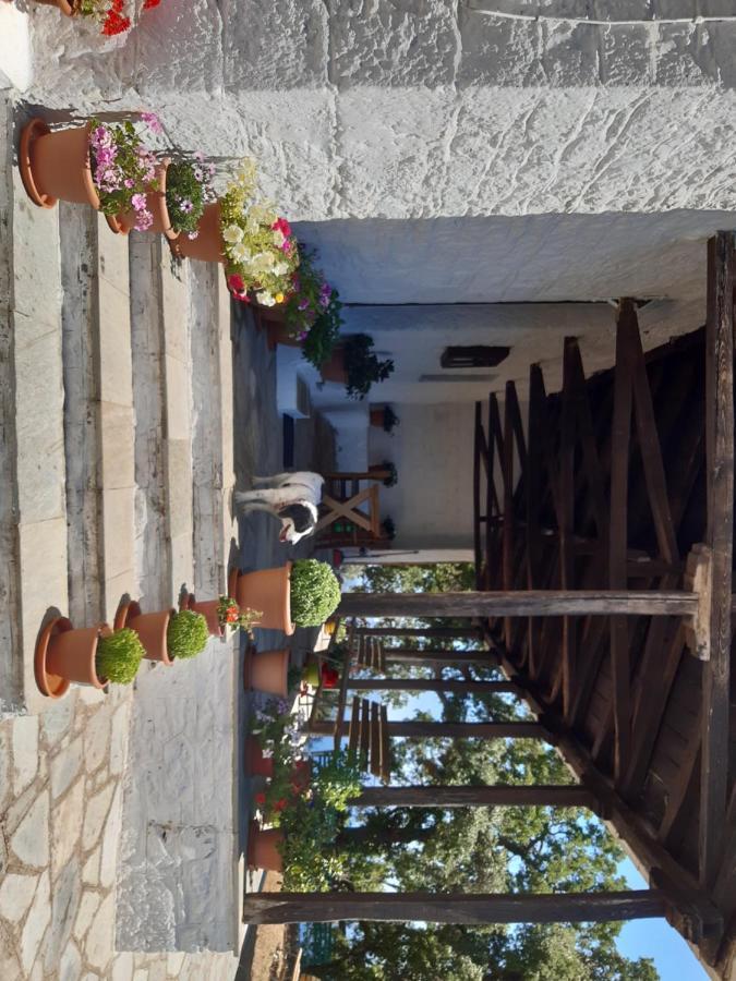 Kouros Villa! Paltsi Pilion Dış mekan fotoğraf