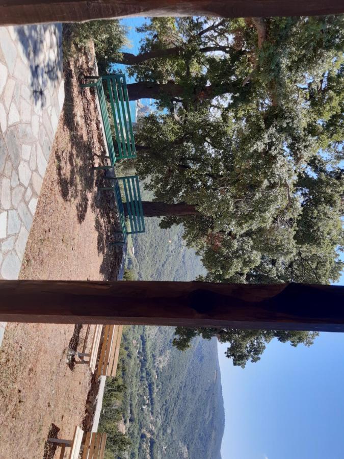 Kouros Villa! Paltsi Pilion Dış mekan fotoğraf