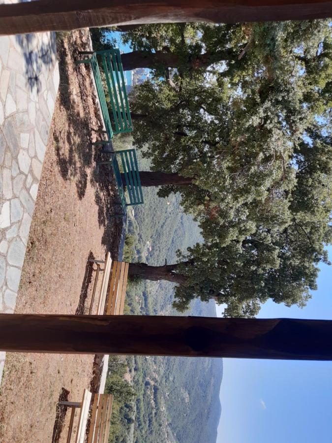 Kouros Villa! Paltsi Pilion Dış mekan fotoğraf