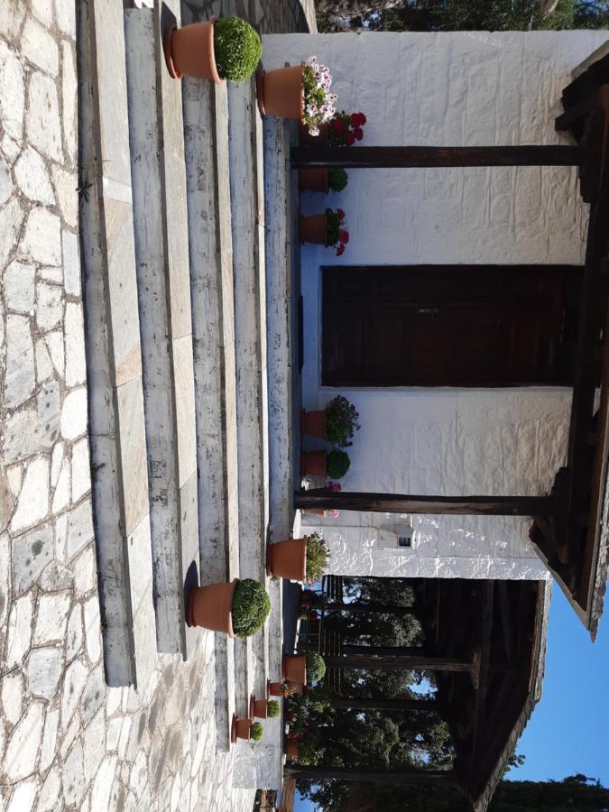Kouros Villa! Paltsi Pilion Dış mekan fotoğraf
